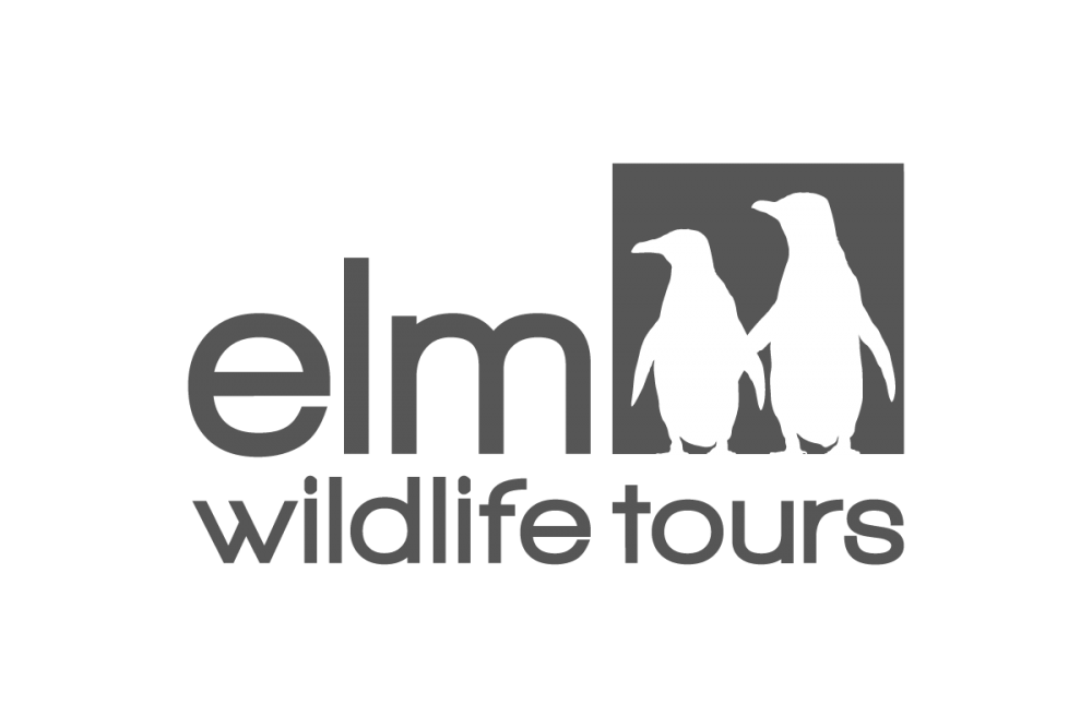 Elm wildlife tours